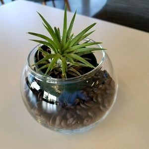 Meet your Posher, Suki